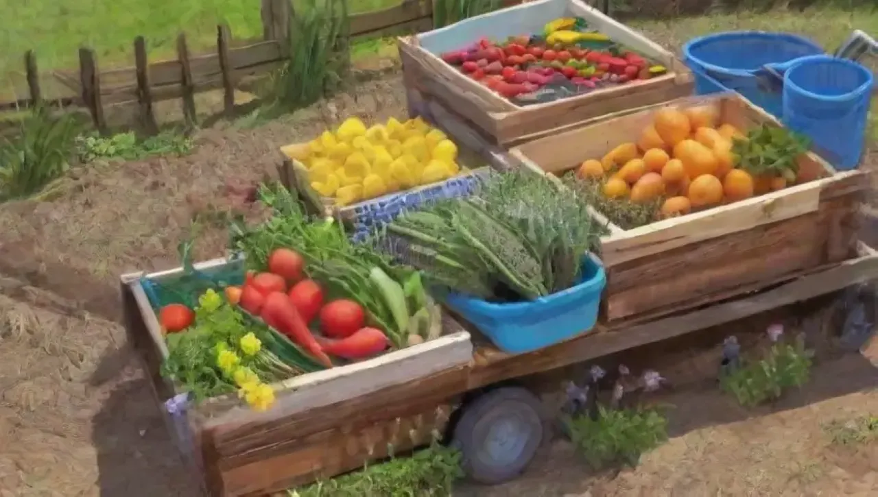 Un paisaje agrícola vibrante y armonioso entre el hombre y la naturaleza