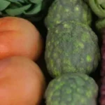 Cuáles son los mitos más comunes sobre los cultivares