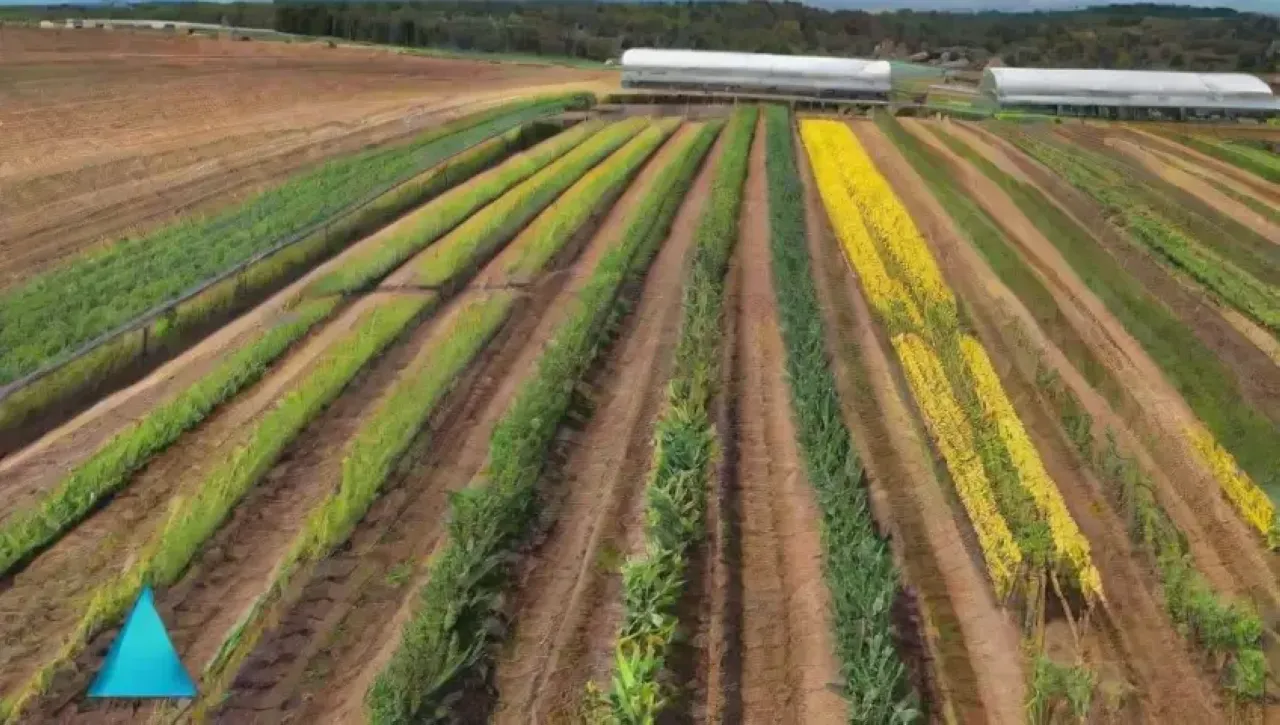 Un paisaje agrícola moderno y vibrante que combina tecnología avanzada y naturaleza