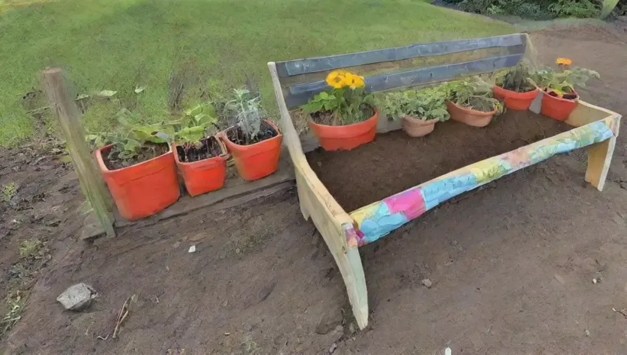 Un jardín vibrante y lleno de vida