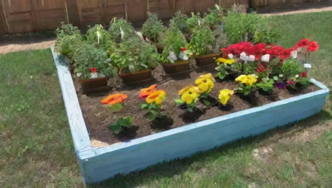 Un jardín vibrante y acogedor lleno de plantas, flores y herramientas de jardinería