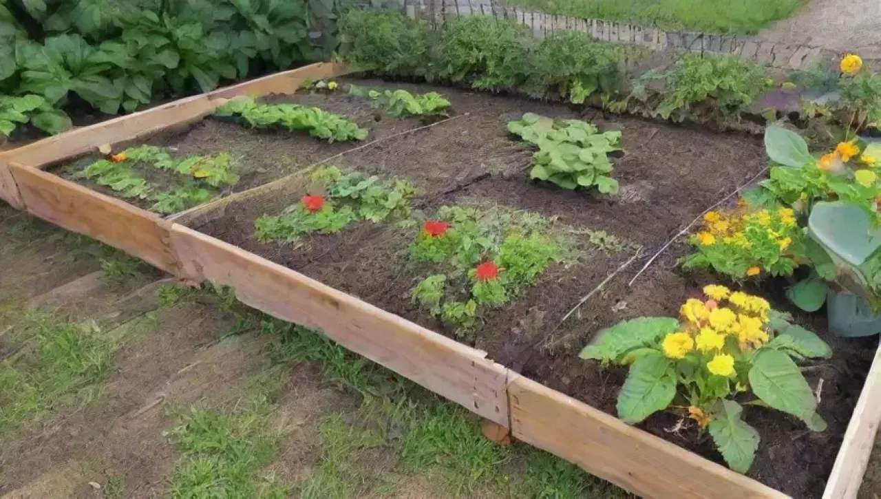 Un jardín vibrante y acogedor lleno de plantas, flores y herramientas