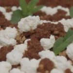 Sustratos ligeros mejoran la jardinería y retienen humedad