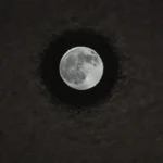 Influencia lunar en el crecimiento y salud de cultivos