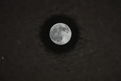 Influencia lunar en el crecimiento y salud de cultivos