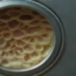 Mejores técnicas de blanqueo para hongos antes de congelar