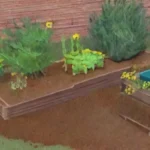 Qué rol juega el compost en el manejo sostenible de residuos urbanos