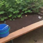 Cómo hacer una poda de formación en árboles jóvenes