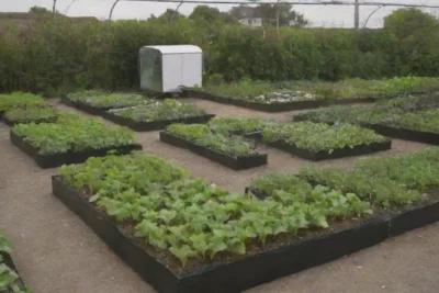 Jardines móviles y agricultura urbana sustentable con tecnología verde y producción fresca
