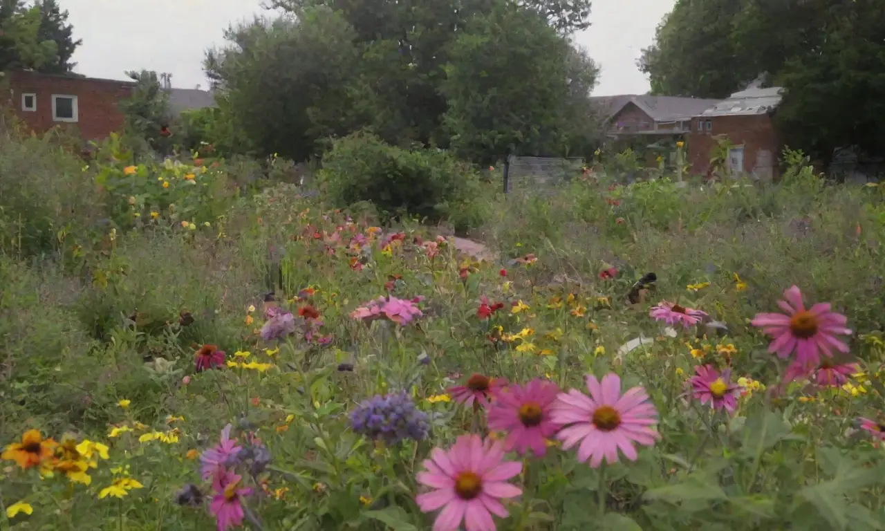 Jardines urbanos vibrantes con flores
