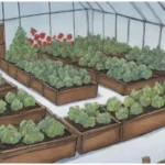 Consejos para jardinería en clima frío: vegetales