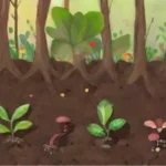 Cómo afecta el pH del compost a la salud del suelo y las plantas