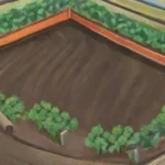 Cuales Son Los Costos de Establecer un Sistema de Riego Subterráneo