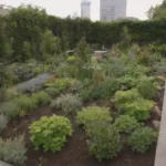 Jardines urbanos con plantas diversas y colaboración comunitaria para prácticas sostenibles