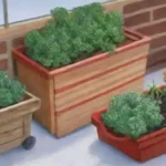 Es posible practicar la agricultura urbana durante los meses de invierno