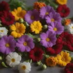 Recetas simples con flores comestibles y frescos ingredientes coloridos