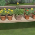 Qué precauciones tomar al injertar plantas frutales en casa