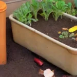 Cuánto tiempo tarda en descomponerse el material en un compostador