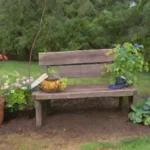 Qué medidas tomas para cuidar de tus árboles frutas tras poda