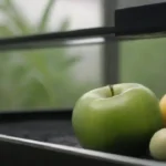 Seguimiento de variables ambientales en la fructificación