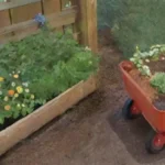 Qué tipo de abono usar tras la poda de árboles frutales