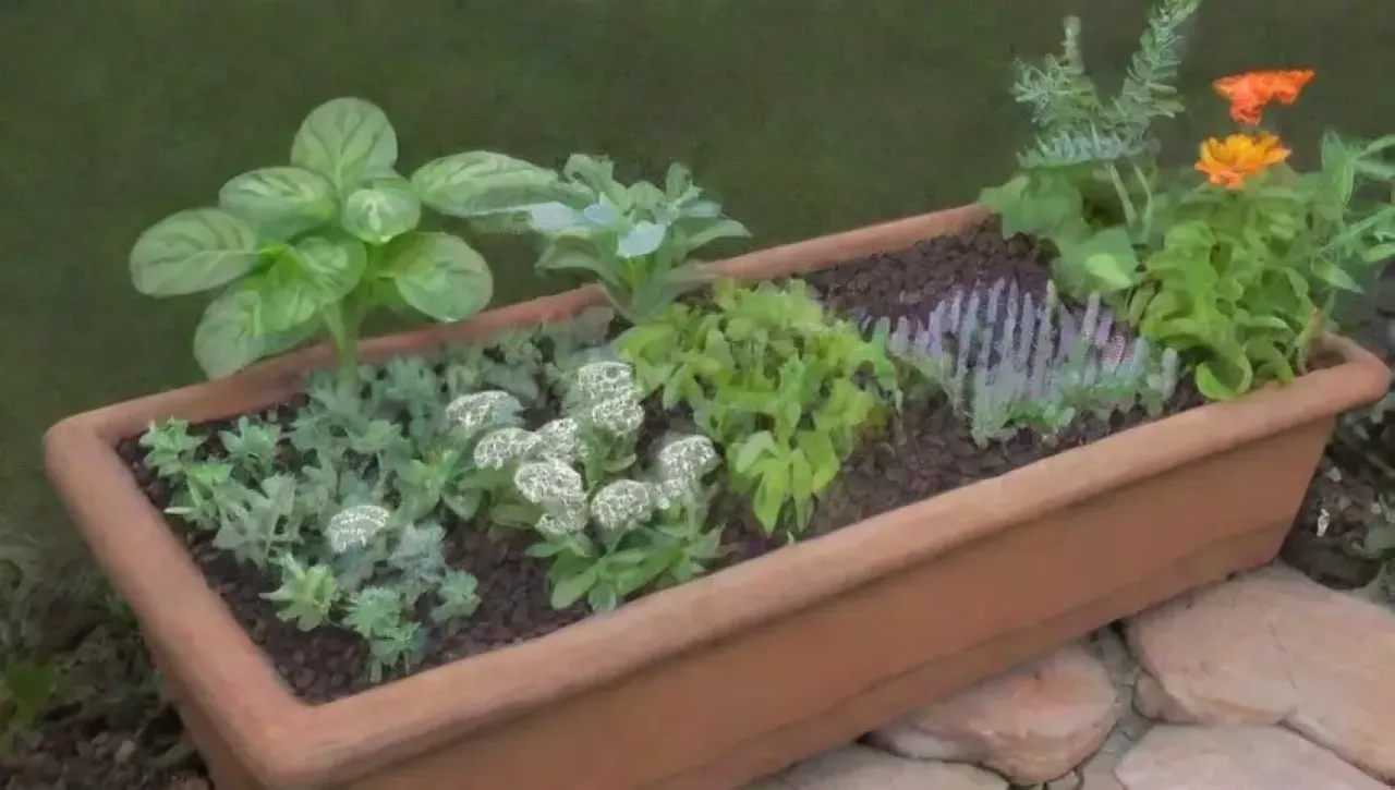 Un jardín de hierbas vibrante y fragante con flores, tierra y luz solar