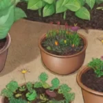 Cómo asegurar un buen desarrollo tras el injerto de tus plantas