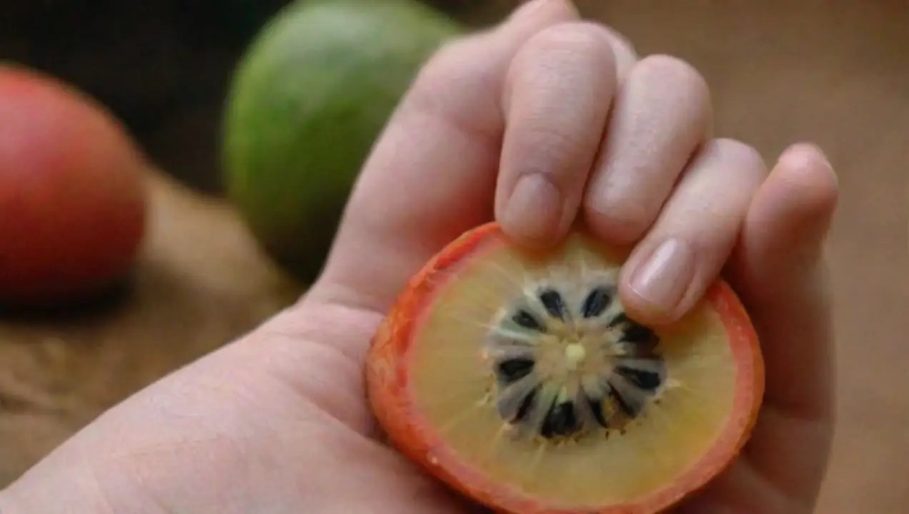 Elección de la especie adecuada de Hongos fáciles de cultivar desde esporas: una guía práctica