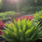 Jardín colorido con riego eficiente y vegetales sostenibles