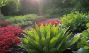 Jardín colorido con riego eficiente y vegetales sostenibles