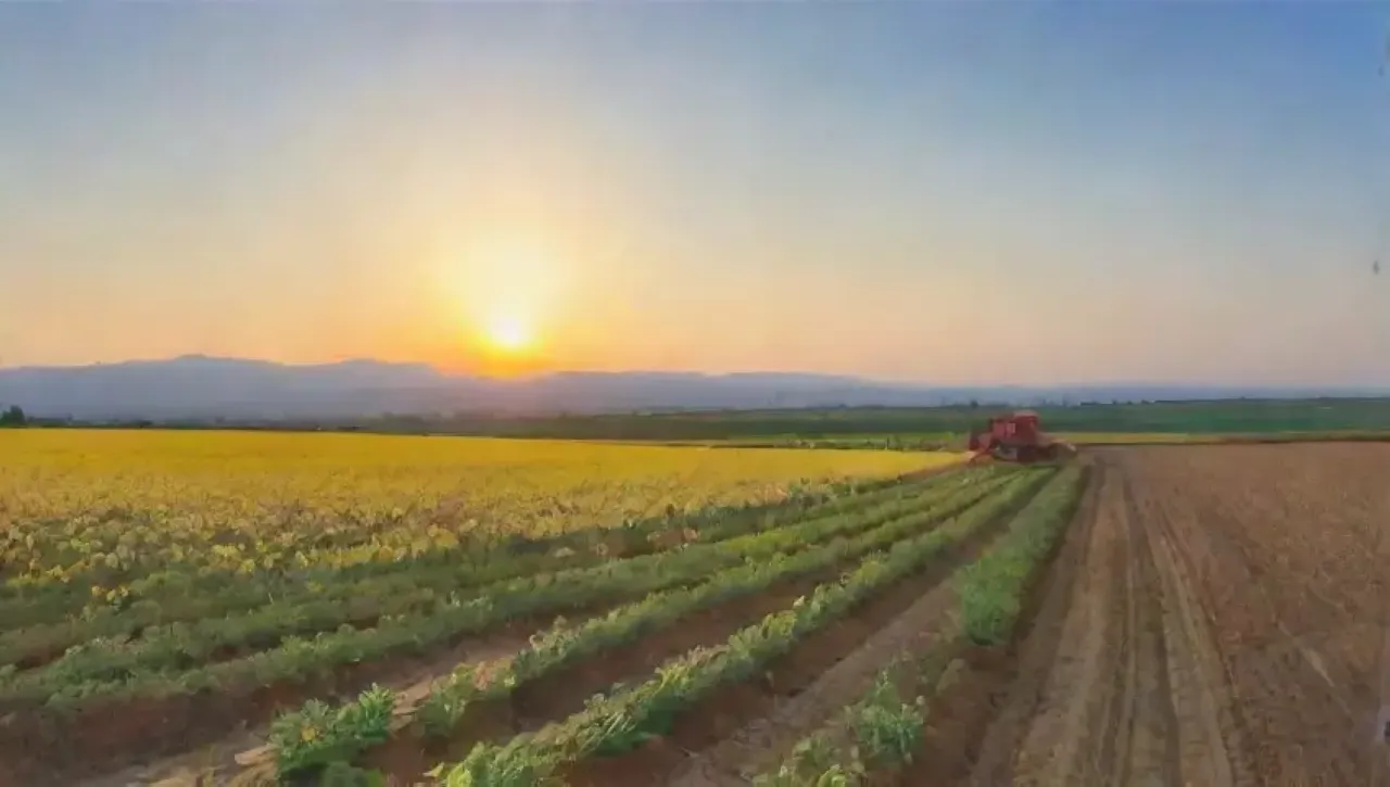 Campos dorados y vibrantes con maquinaria agrícola, trabajadores felices y un paisaje iluminado por el sol
