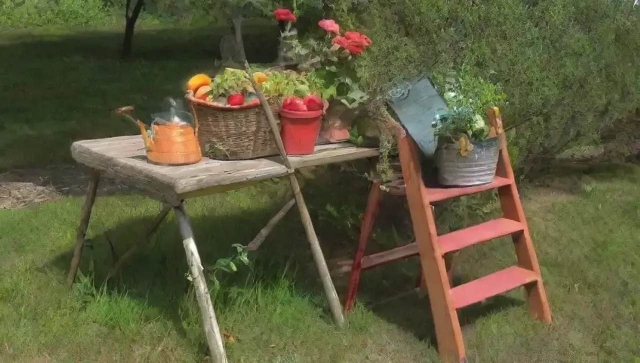 Un jardín vibrante y tranquilo con herramientas de jardinería, frutas maduras y naturaleza en armonía