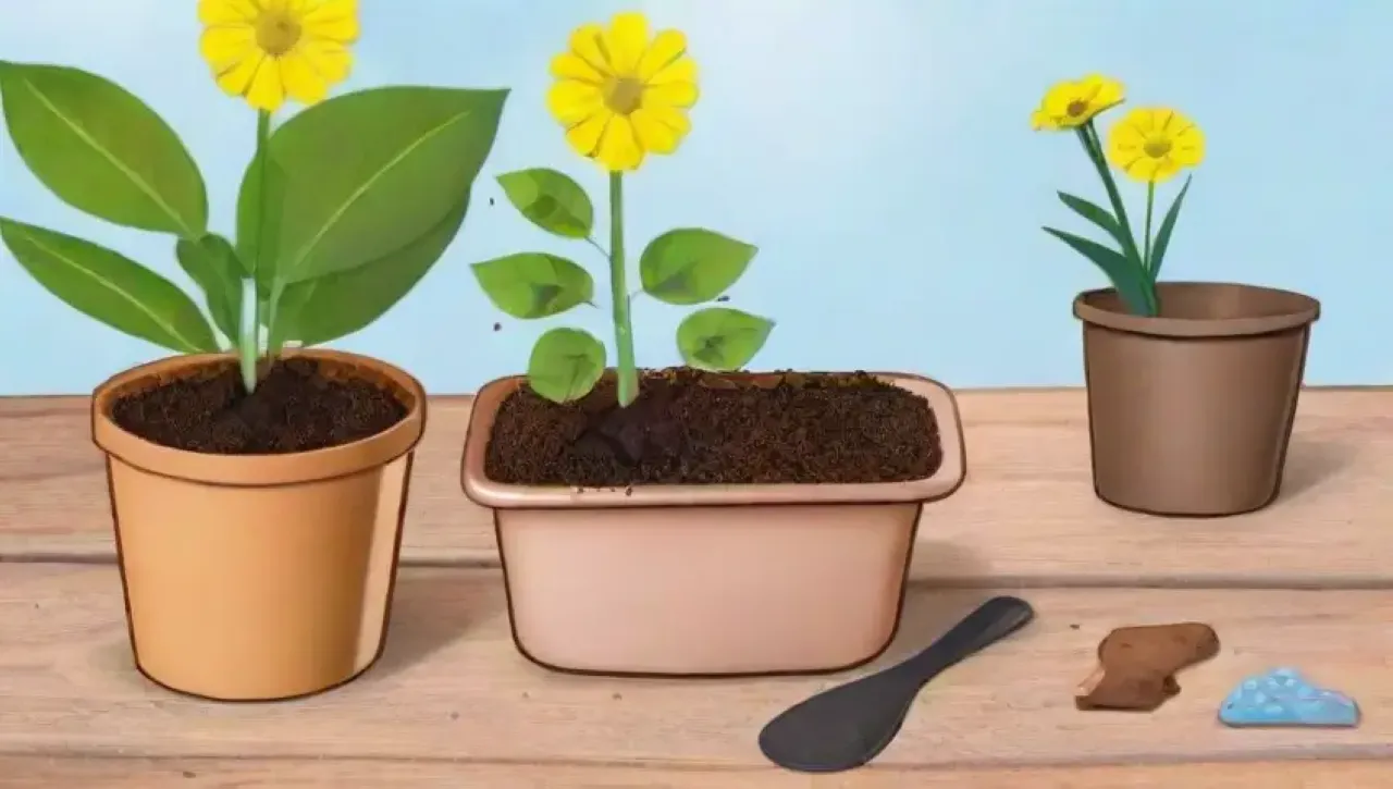 Un sereno jardín vibrante con herramientas coloridas y plantas saludables