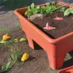 Qué herramientas necesitas para un compostaje exitoso en casa