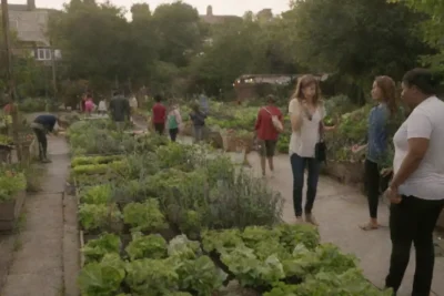 Jardines urbanos fomentan la comunidad
