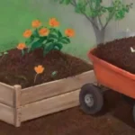 Cómo identificar cuándo el compost está listo para su uso