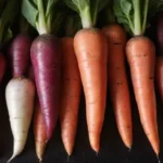 Verduras de raíz coloridas: zanahorias