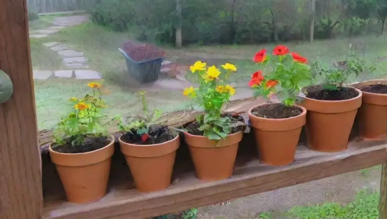 Un jardín vibrante y acogedor lleno de vida, plantas y armonía