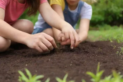 Jardines familiares con plantas coloridas y niños aprendiendo a plantar