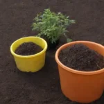 Contenedores coloridos con tierra rica y aireada para plantas saludables