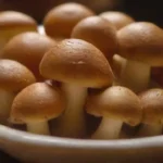 Cómo se utilizan los hongos en la cocina mediterránea