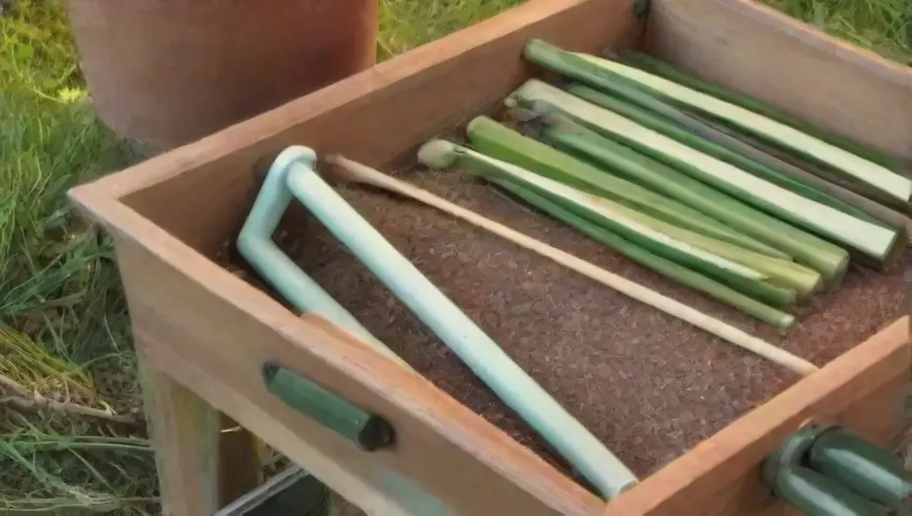 Un vibrante jardín de legumbres y semillas en una mesa rústica bajo la luz del sol