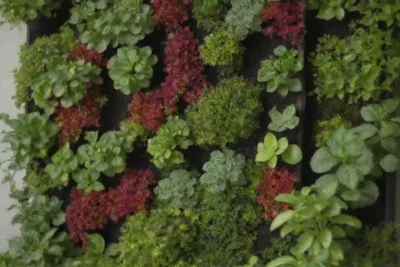 Guía paso a paso para jardines verticales en espacios pequeños con plantas fáciles y soluciones DIY