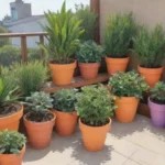 Diseño de jardín en terraza con plantas vibrantes y arreglos sostenibles