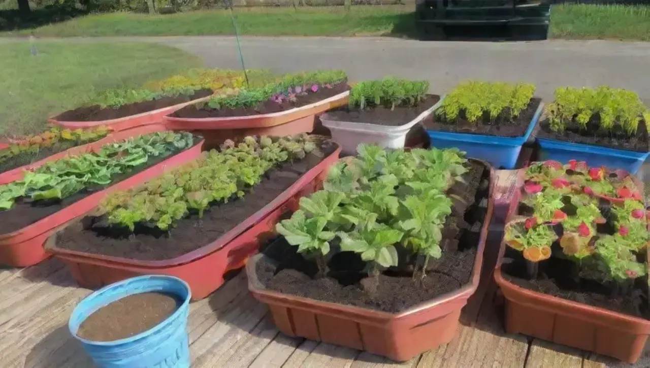 Un vibrante jardín lleno de risas, flores, frutas y trabajo en equipo