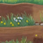 De qué manera la paja y el mulch benefician el suelo cultivado
