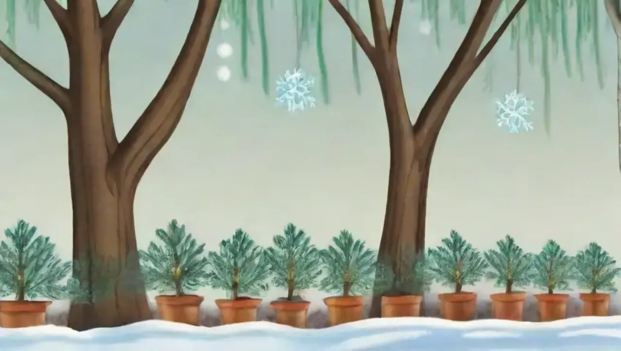 La poda invernal transforma el jardín en un paisaje sereno y equilibrado