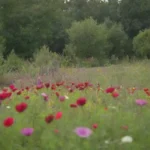 Campo abierto con vegetación vibrante y jardines terapéuticos en un ambiente tranquilo