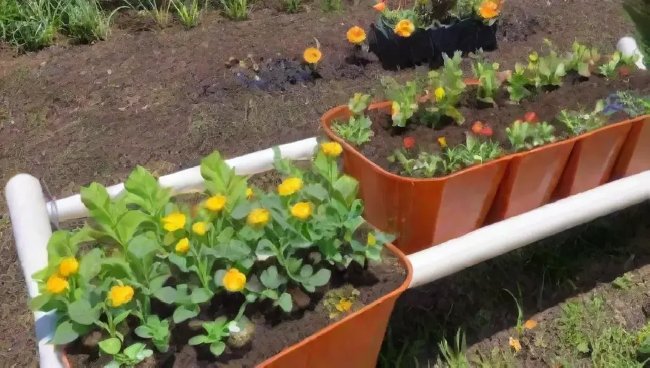 Un jardín vibrante con tubos de PVC, plantas, verduras, flores y herramientas, todo bajo un cielo azul