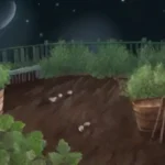Cómo influye la luna en el calendario de siembra de huertos